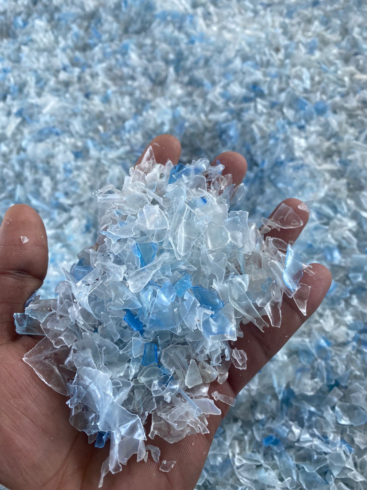 Imagem do WhatsApp 2024/11/12 &agrave;s 21/25/57